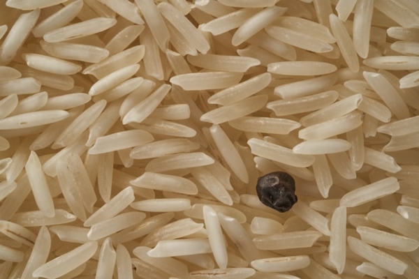 basmati 1