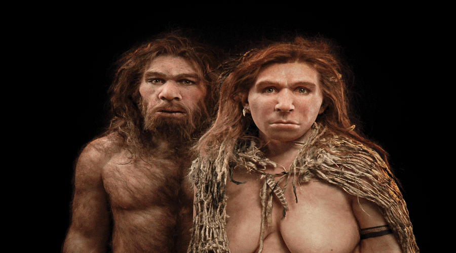 neanderthal article