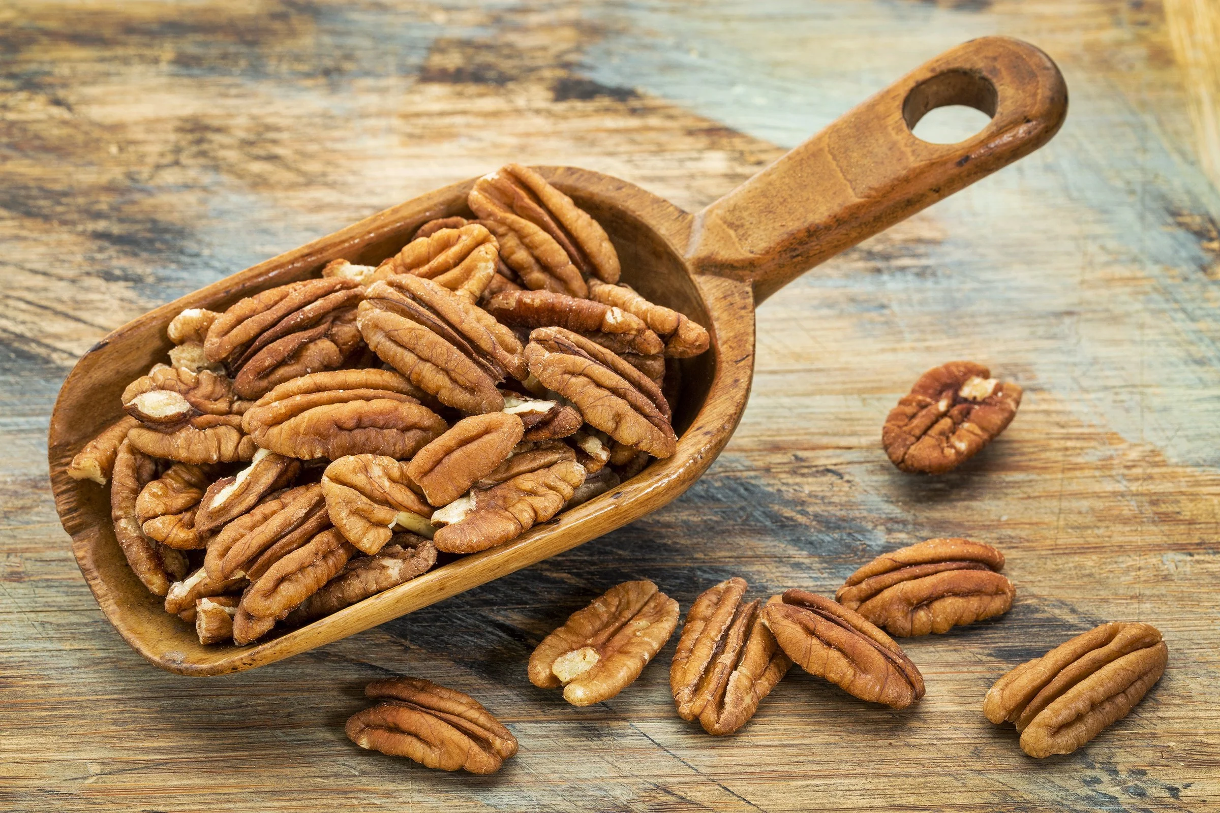 pecan apoleia varous