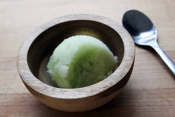 aggouri sorbet