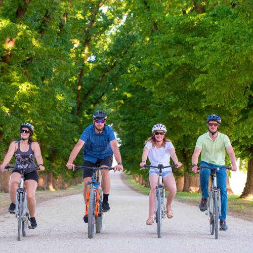 cycling the leafy bike paths of victoria