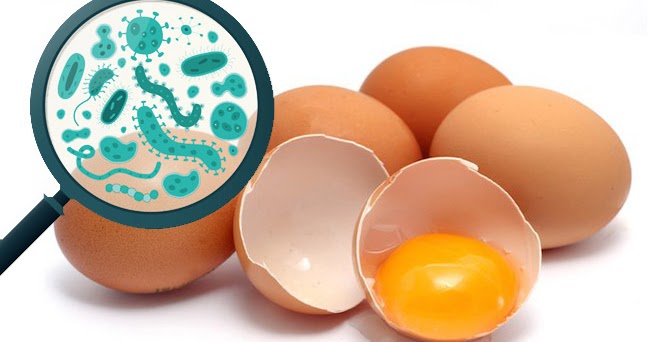 eggs food safety salmonella