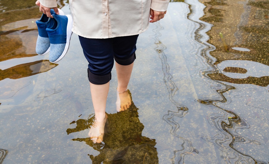 vibrio vulnificus