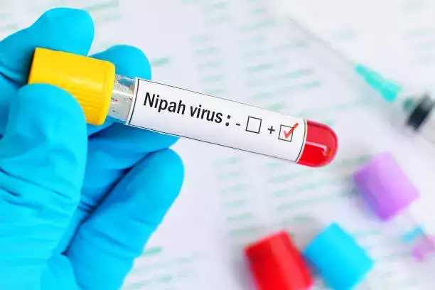 nipah