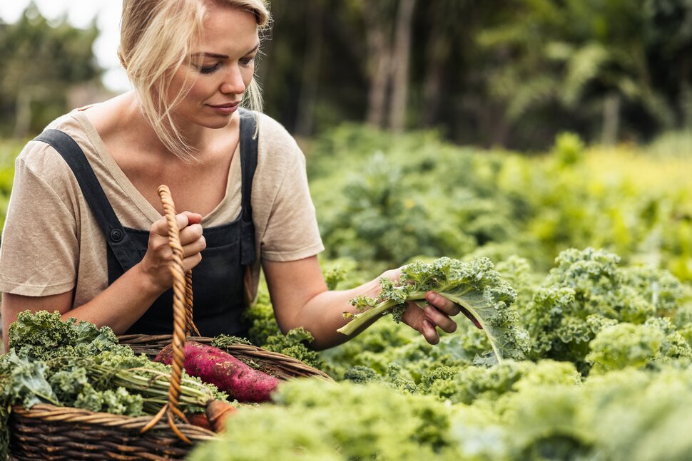 vegetarian sidiros