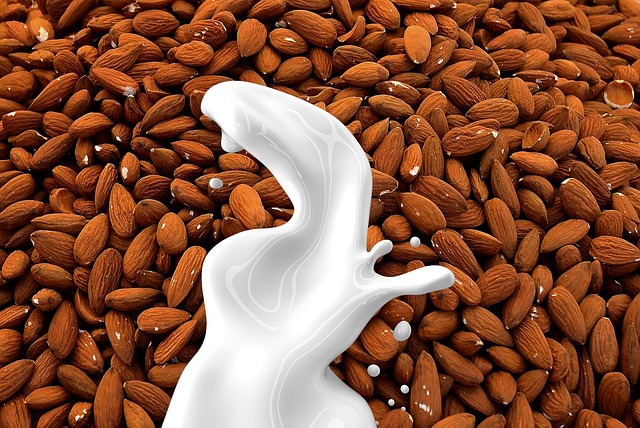 almond milk 1623610 640