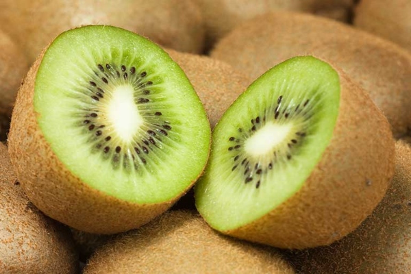 kiwi 1