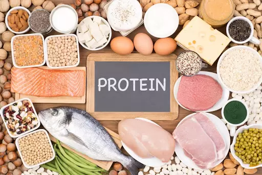 proteinikes trofes