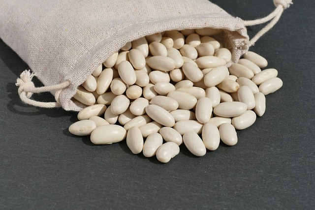 white beans 6571302 640