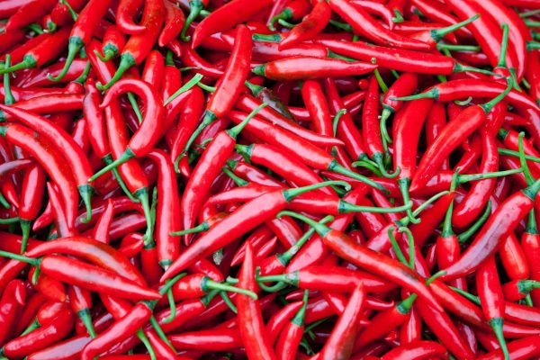 chili piperies scaled e1702371762522