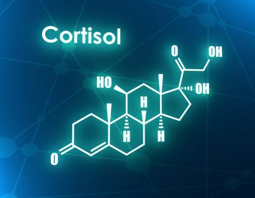 cortisoli e1708331964996