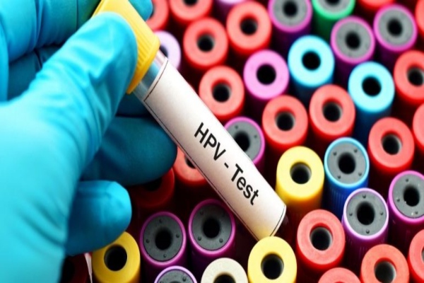 hpv 2