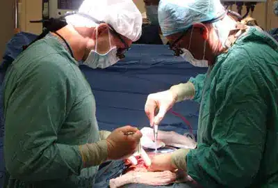 kidney surgery