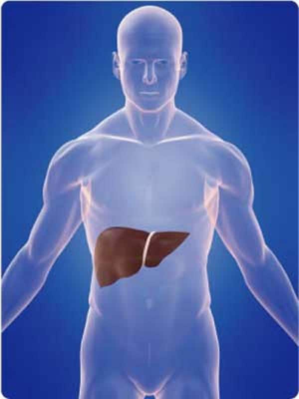 liver