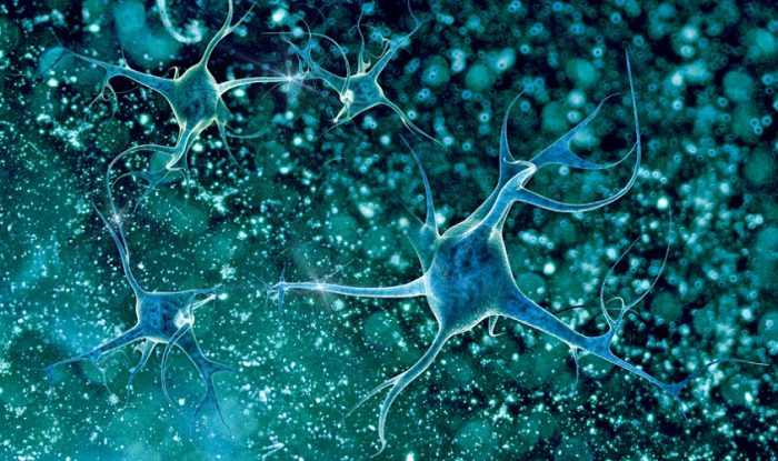 neuron brain neurology shutterstock 156298181 e1667141961870