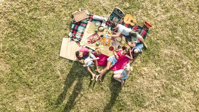 friends picnic