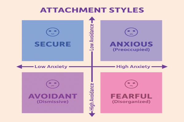 attachment style2ready