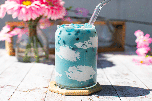 butterfly pea flower latte 1ready