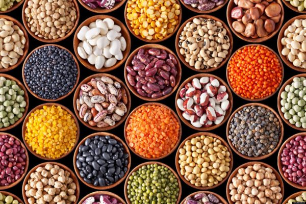 legumes ospria 1024x683 1 e1620803673765