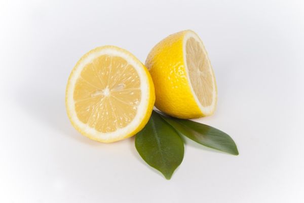 lemonia 1