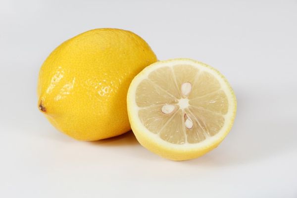 lemonia