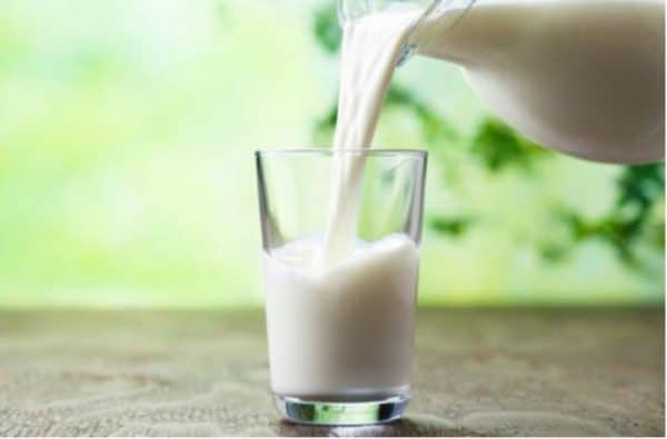 pouring milk in the glass on the background of nature e1620803616194