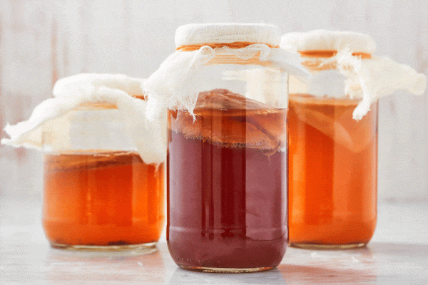 190208 kombucha horizontal 136 1550010329 e1659344184330