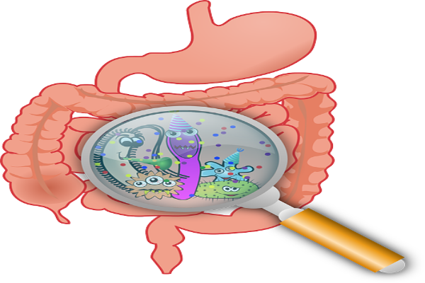 ecoli 1