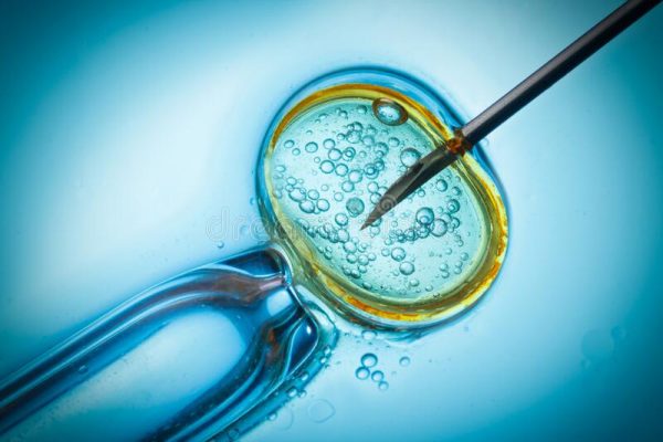 vitro fertilization ivf macro concept ivf macro concept 184368216 e1674594762448