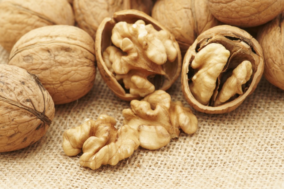 walnuts canvas e1416195426232